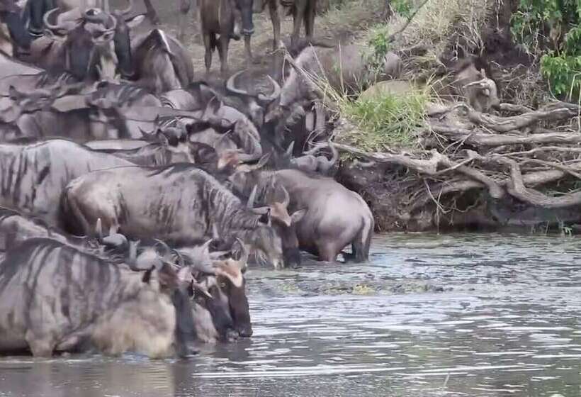 Royal Village Hotel Company