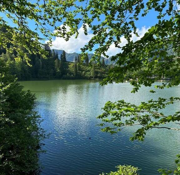 Gogalay Bungalov Hotel  Restoran