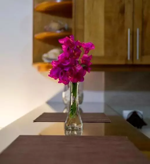 Bugambilias Suites