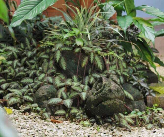 Отель Arte Natura