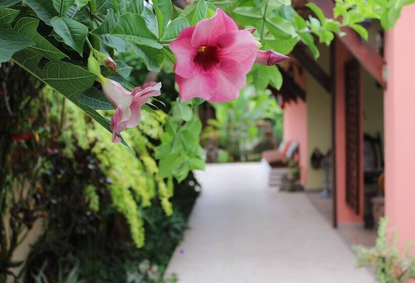 Отель Arte Natura