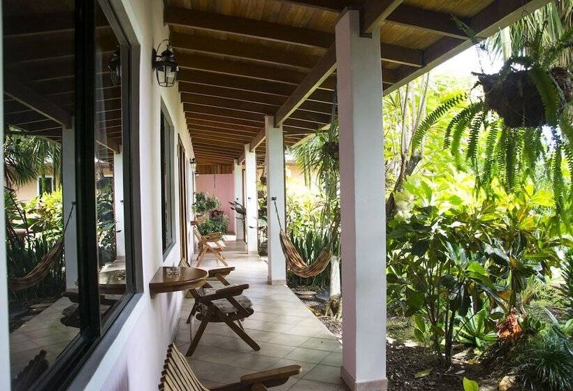 Отель Arte Natura