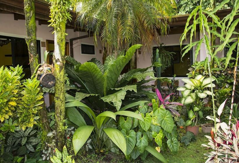 Отель Arte Natura