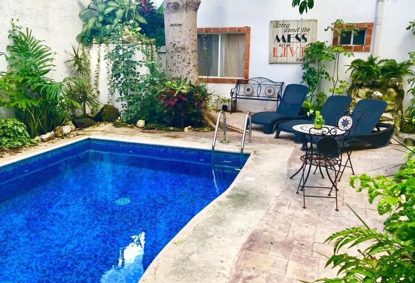 Mio Hotel Boutique Playa Del Carmen