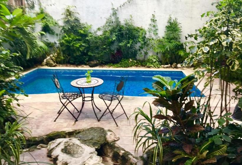 Mio Hotel Boutique Playa Del Carmen