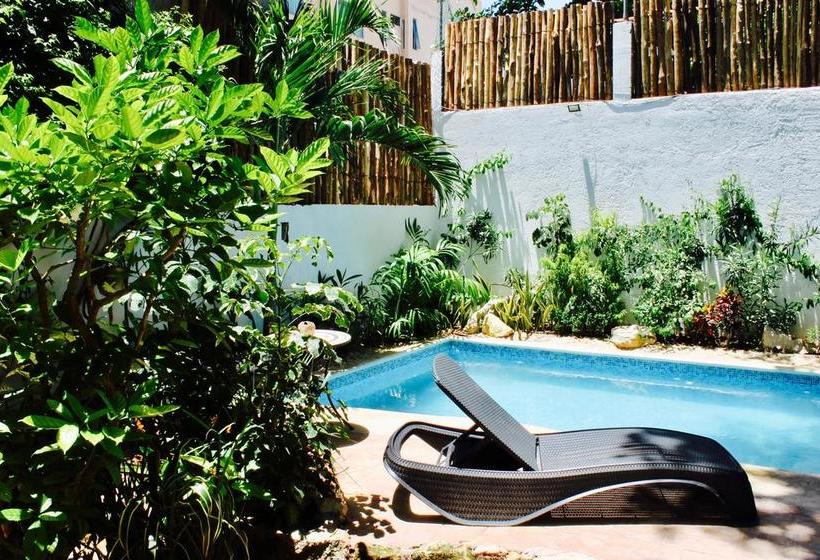 Mio Hotel Boutique Playa Del Carmen