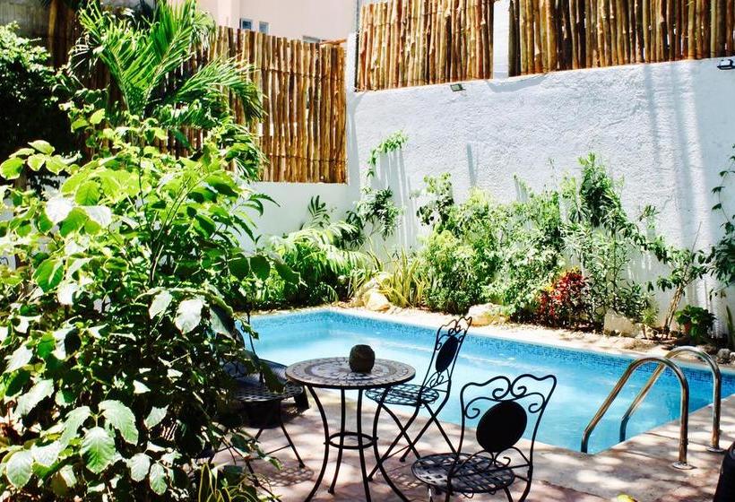 Mio Hotel Boutique Playa Del Carmen