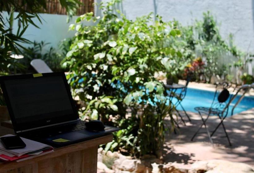 Mio Hotel Boutique Playa Del Carmen