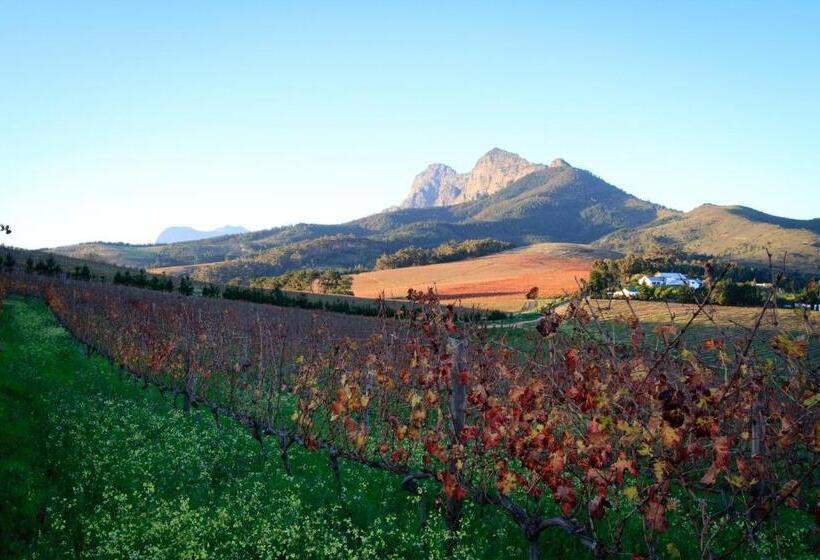 Marianne Wine Estate