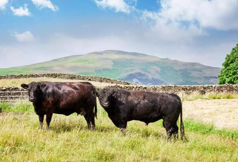 The Dalesman Country Inn