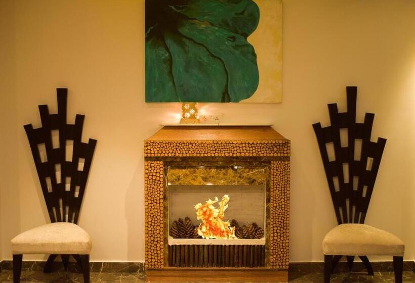 Blueberry Hotel Zirakpur A Family Hotel With Spacious And Hygenic Rooms