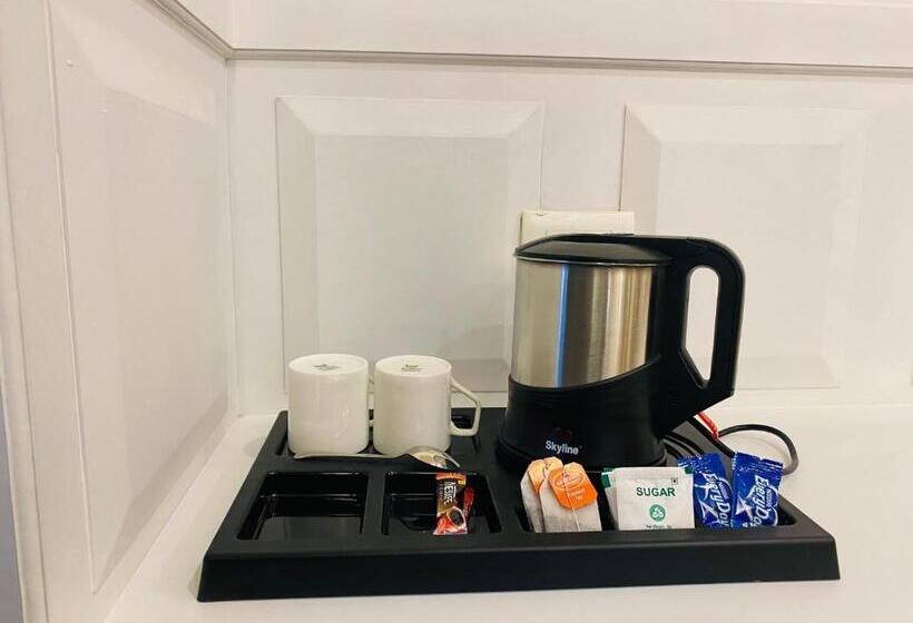 Blueberry Hotel Zirakpur A Family Hotel With Spacious And Hygenic Rooms