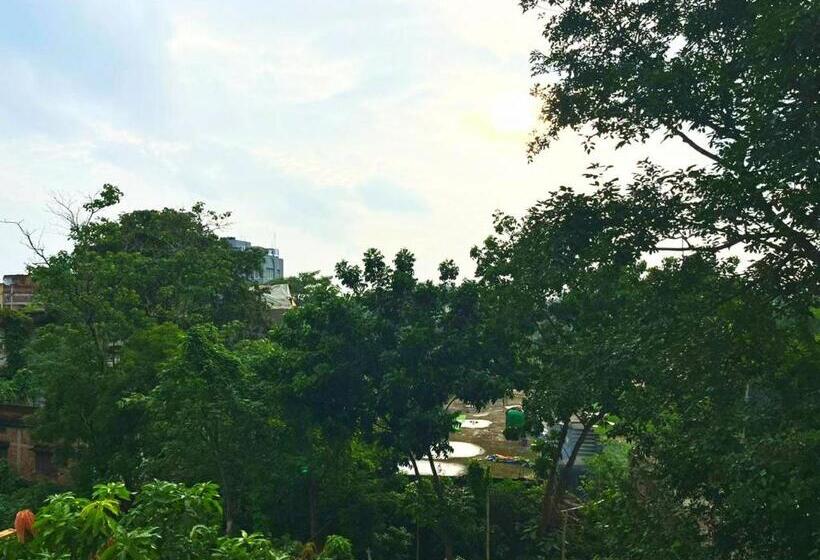 Отель Diamond Inn