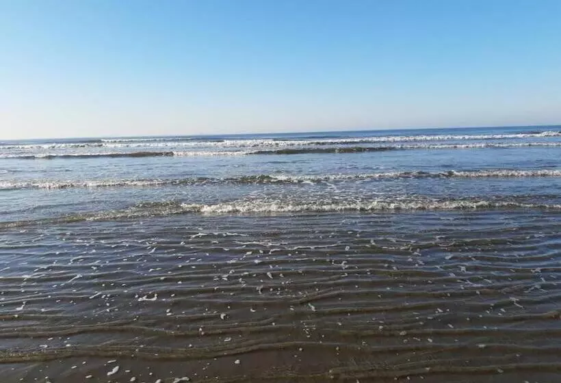 ペンション Hostel Mazoca