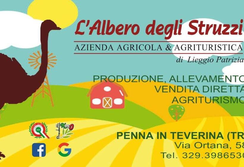 Szálloda L Albero Degli Struzzi