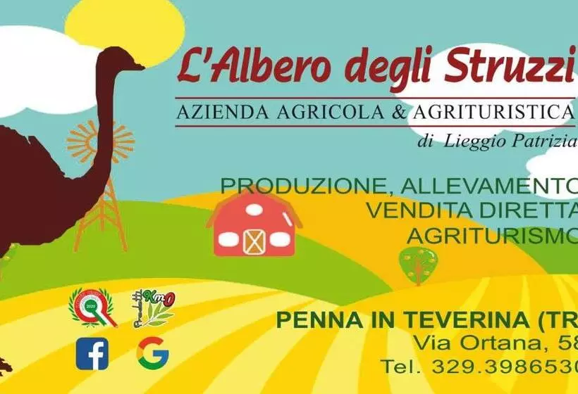 Hotelli L Albero Degli Struzzi