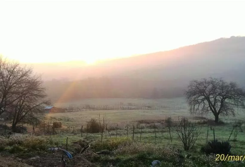 Hotelli L Albero Degli Struzzi