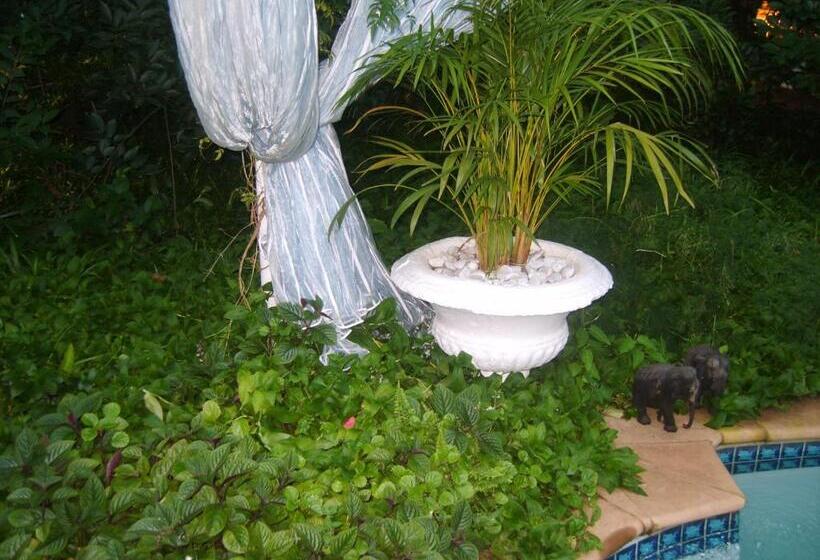 Pension Amethyst Suites