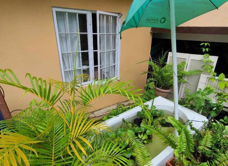 پانسیون Joe S Accomodation