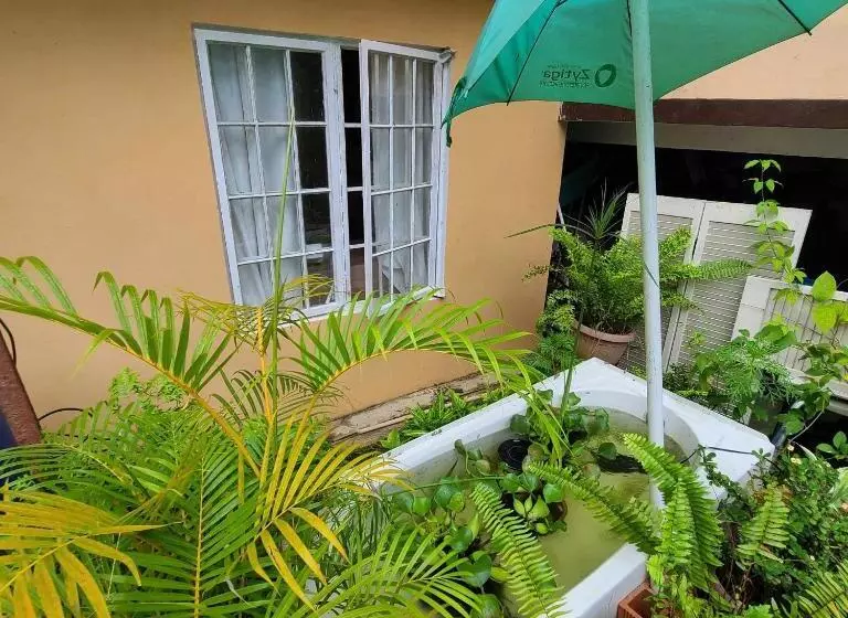 پانسیون Joe S Accomodation