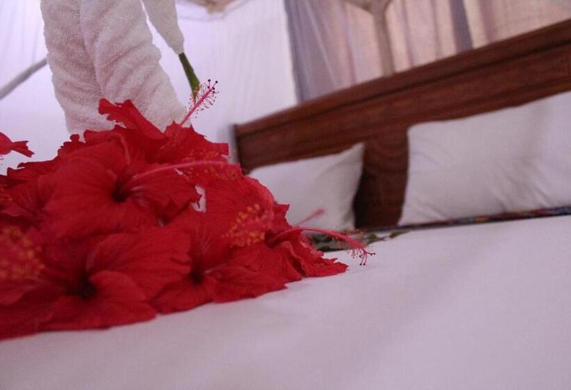 ベッドアンドブレックファースト Tumbo Swahili Villa