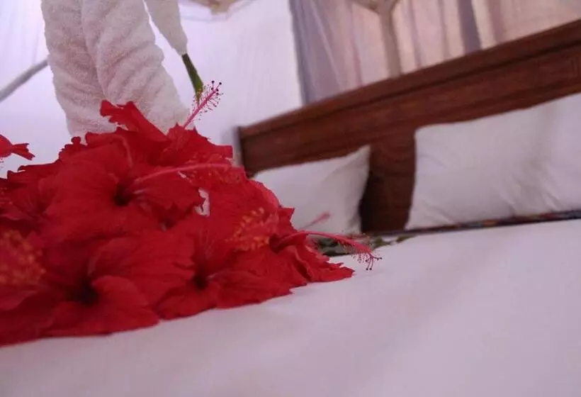 Aamiaismajoitus (B&B) Tumbo Swahili Villa