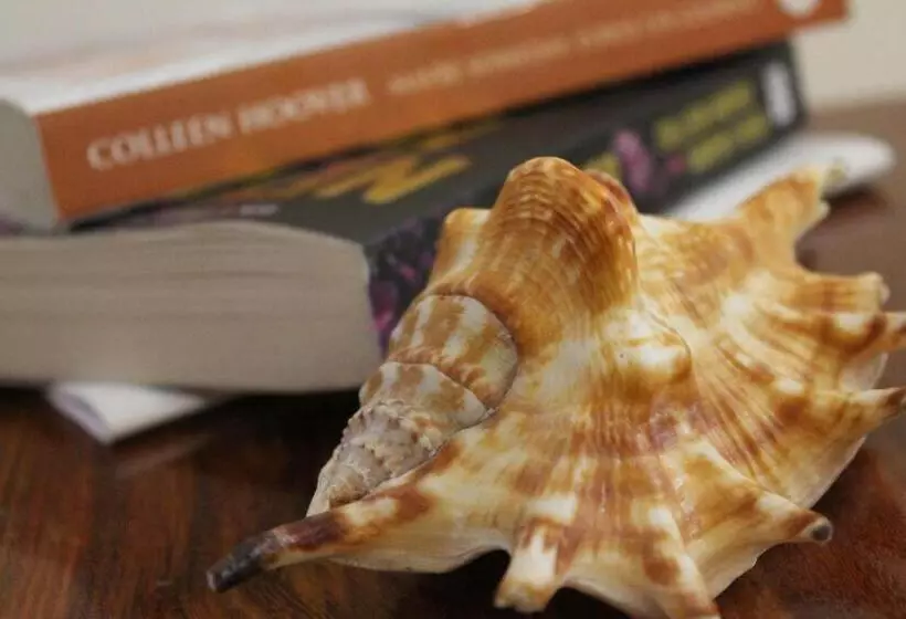 Aamiaismajoitus (B&B) Tumbo Swahili Villa