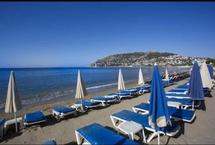 هتل Alanya My Boutique