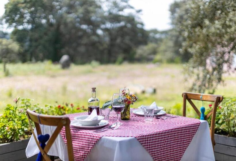 酒店 Casa María Campiña