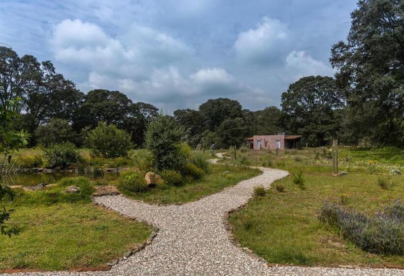 酒店 Casa María Campiña