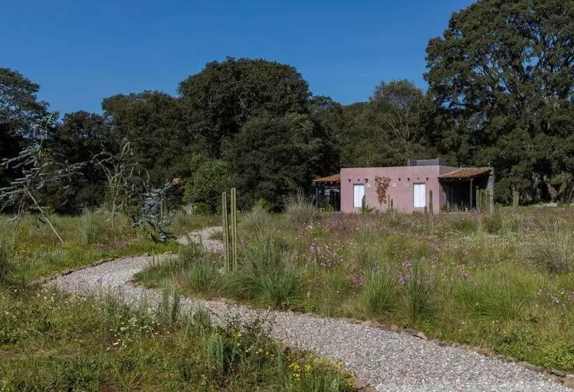 ホテル Casa María Campiña