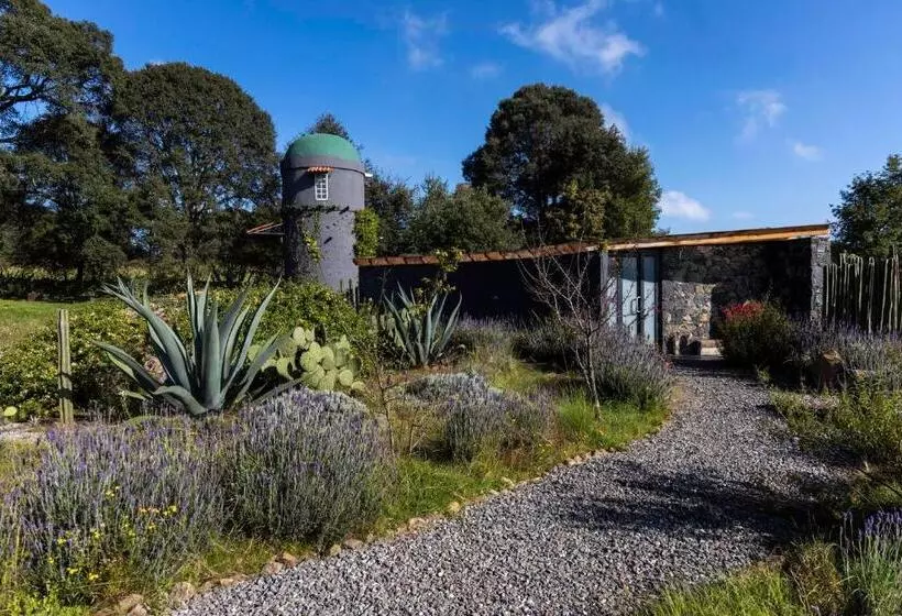 ホテル Casa María Campiña