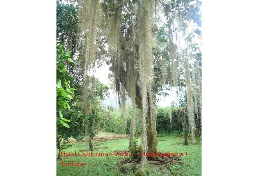 Szálloda California Pacho