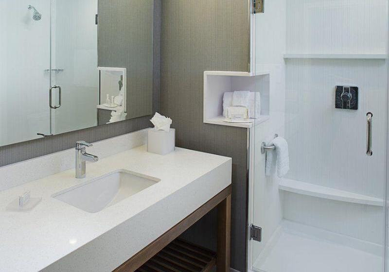 Hotel Courtyard By Marriott Dallas Carrollton And Carrollton Conference Center