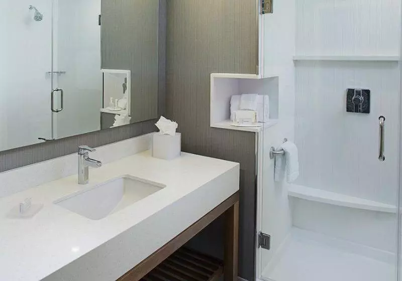 ホテル Courtyard By Marriott Dallas Carrollton And Carrollton Conference Center