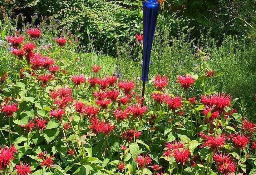 בית מלון כפרי Landgasthof Rossle  Beim Krauterwirt