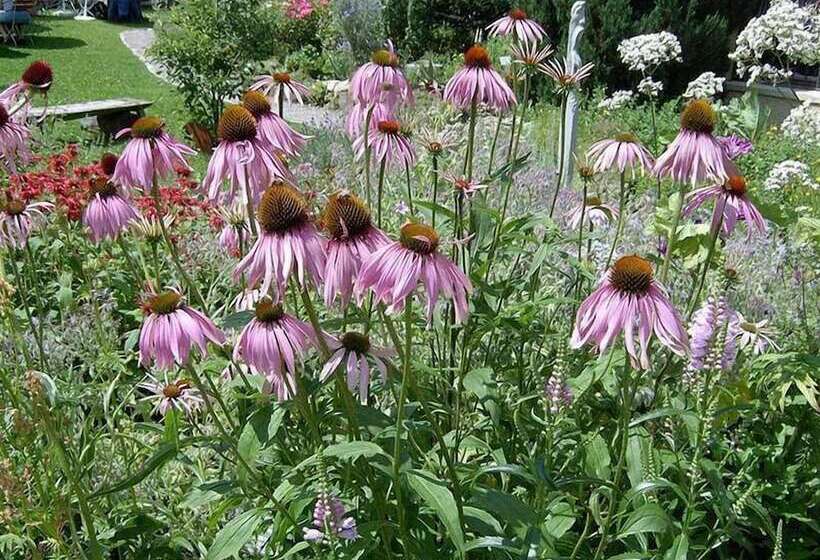 בית מלון כפרי Landgasthof Rossle  Beim Krauterwirt