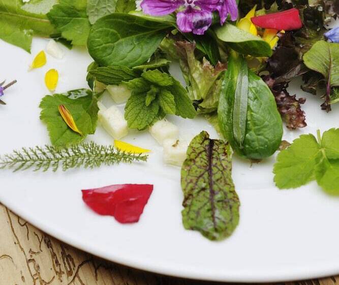 בית מלון כפרי Landgasthof Rossle  Beim Krauterwirt