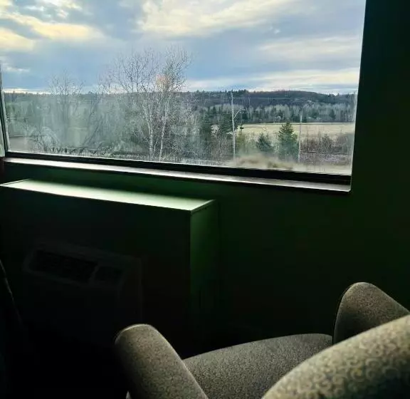ホテル Lively Inn And Suites   Sudbury