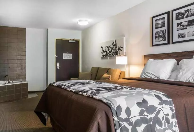 ホテル Sleep Inn & Suites East Syracuse