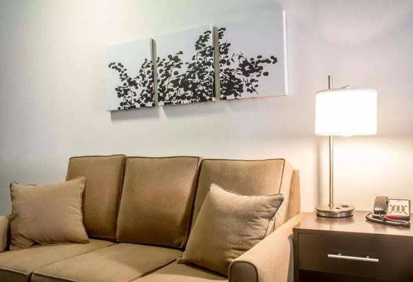 ホテル Sleep Inn & Suites East Syracuse