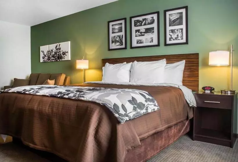 ホテル Sleep Inn & Suites East Syracuse