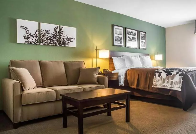 ホテル Sleep Inn & Suites East Syracuse