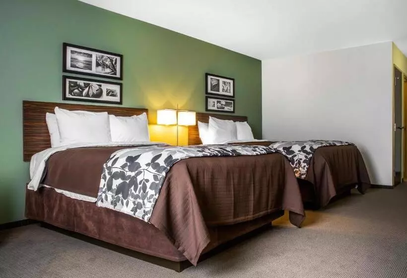 ホテル Sleep Inn & Suites East Syracuse