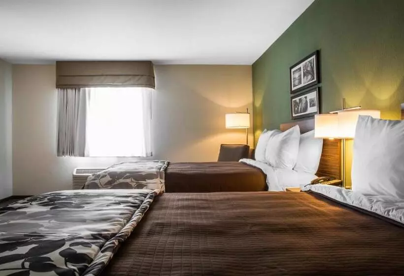 ホテル Sleep Inn & Suites East Syracuse
