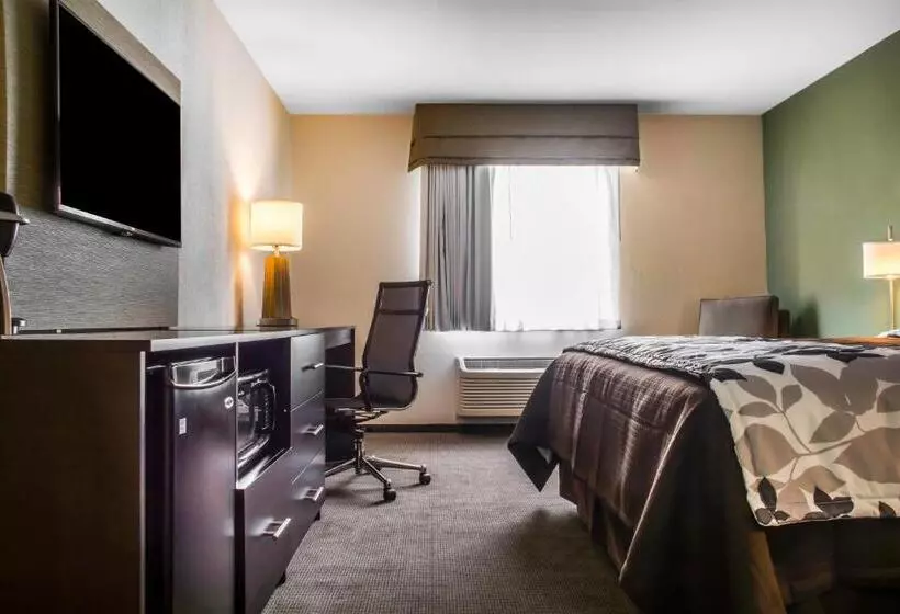 ホテル Sleep Inn & Suites East Syracuse