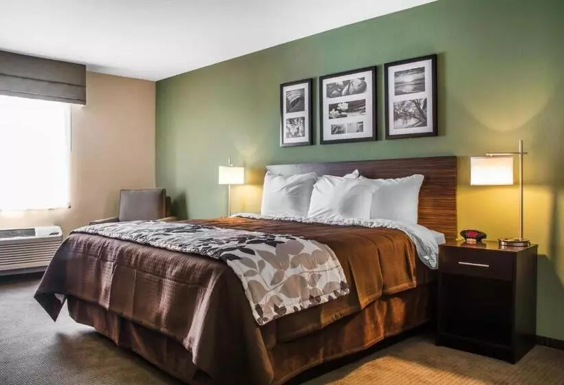 ホテル Sleep Inn & Suites East Syracuse