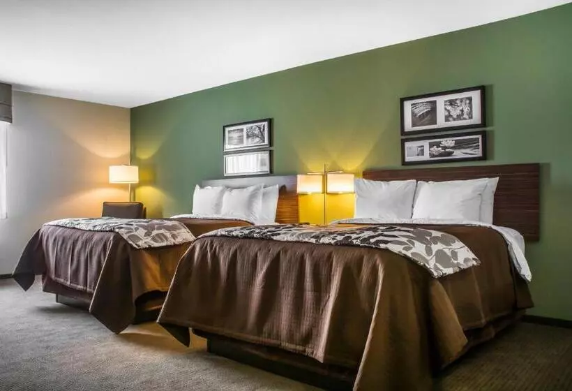 ホテル Sleep Inn & Suites East Syracuse