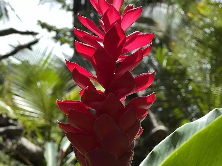 ベッドアンドブレックファースト Akwaba Lodge