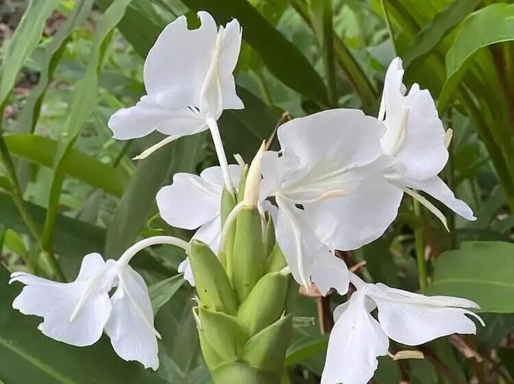 ベッドアンドブレックファースト Akwaba Lodge